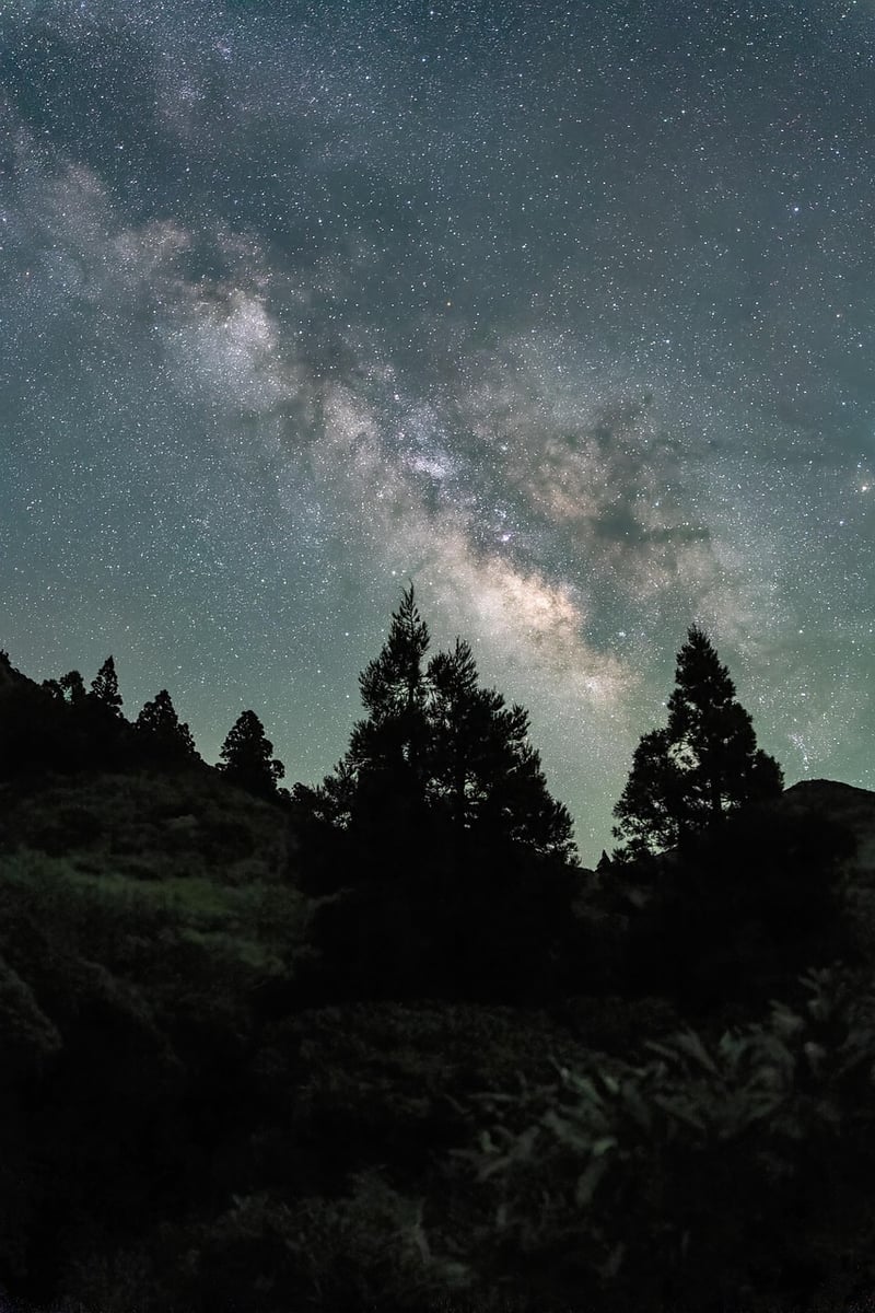 Starry night